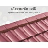 กระเบื้องหลังคาเซรามิค scg - ตัวแทนจำหน่าย SCG Authorized Dealer กรุงเทพ SCG Housing Expert